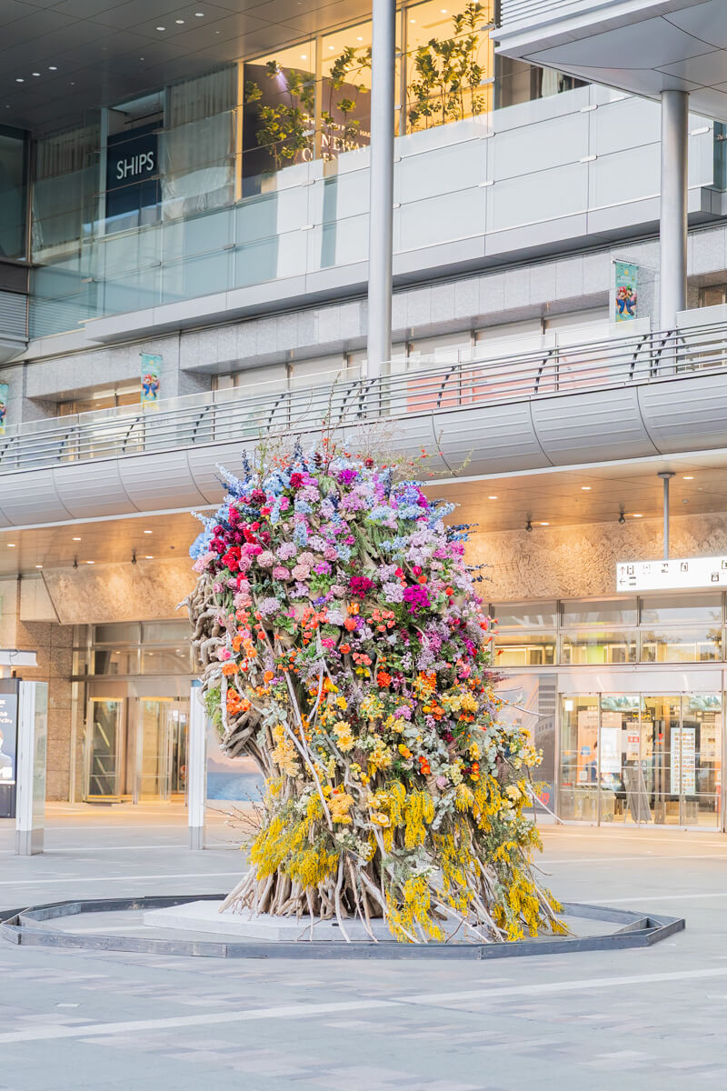 春と再生 | Project : Fukuoka Flower Show 2026 インスタレーション