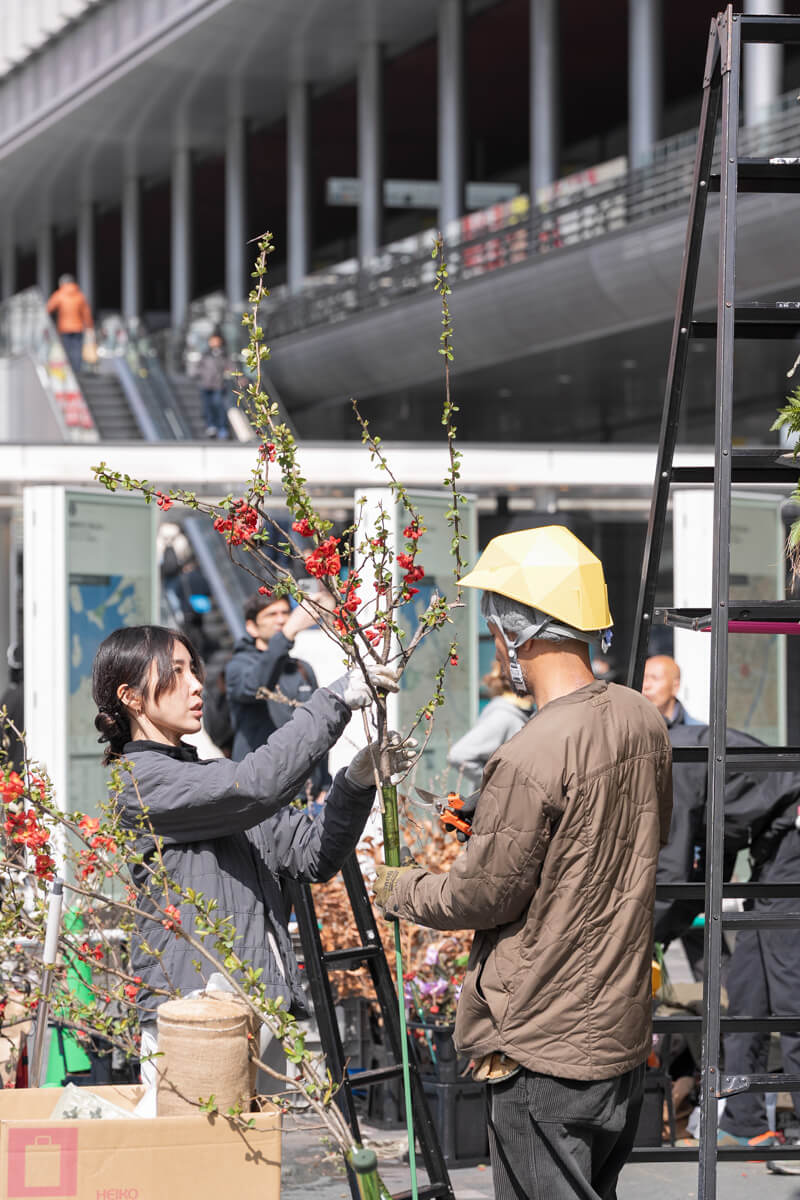 春と再生 — gallery01-09